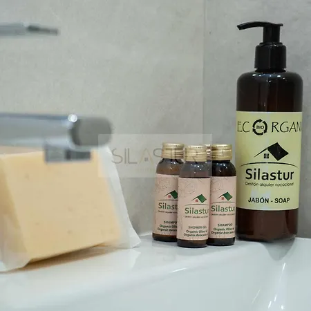 Apartament Cabrales By Silastur Gijón