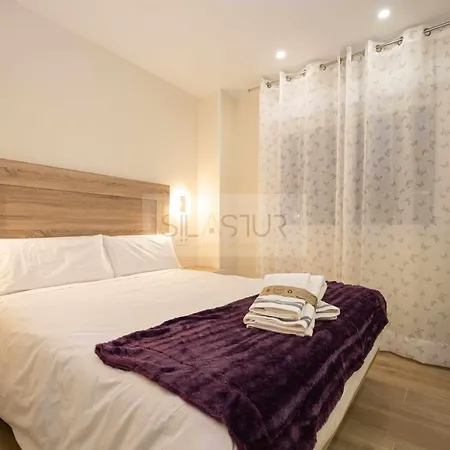 Apartament Cabrales By Silastur Gijón