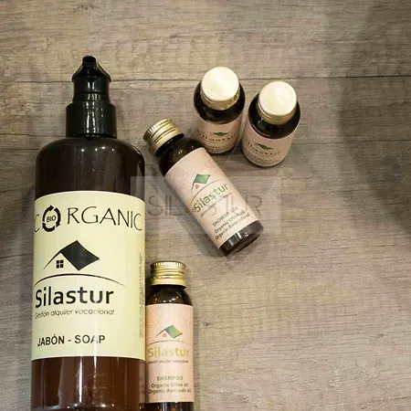 Apartament Cabrales By Silastur *