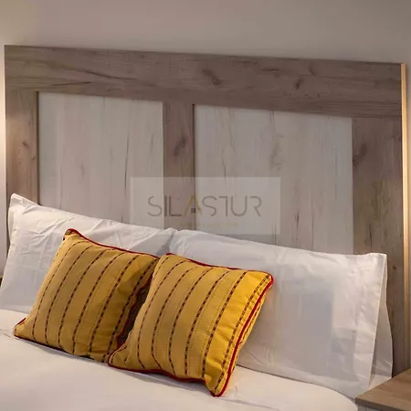 Cabrales Apartment Gijon