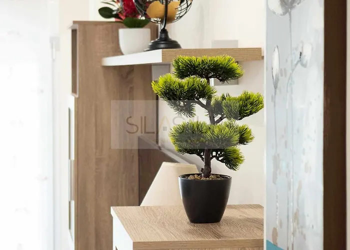 Daire Cabrales By Silastur Gijón