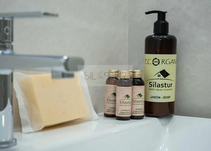 Daire Cabrales By Silastur Gijón